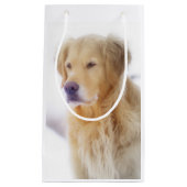 Golden Retriever in de sneeuw Klein Cadeauzakje (Voorkant)