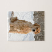 Golden Retriever in de sneeuw Legpuzzel (Horizontaal)