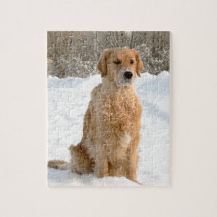 Golden Retriever in de sneeuw Legpuzzel