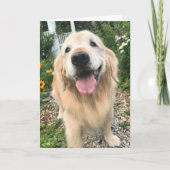 Golden Retriever in de Vloertuintuin die je denkt Kaart (Voorkant)