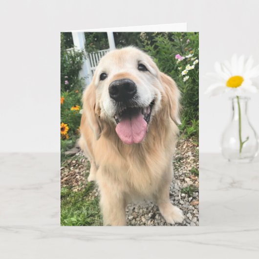 Golden Retriever in de Vloertuintuin die je denkt Kaart (Kleine Plant)