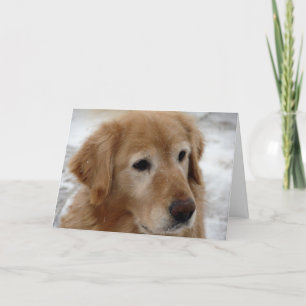 Golden retriever in de Winter Feestdagen Kaart