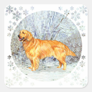 Golden Retriever in de wintertijd Vierkante Sticker