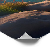 Golden Retriever in een Fantasy Rainbow River Poster (Hoek)