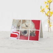 Golden Retriever in een raam slapen met cadeau Kaart (Gele Bloem)