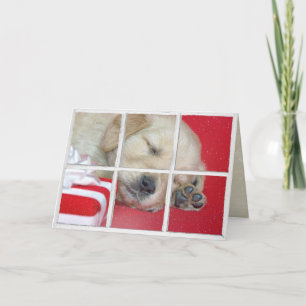 Golden Retriever in een raam slapen met cadeau Kaart
