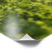 Golden Retriever in Fields Foto Print Afdruk (Hoek)