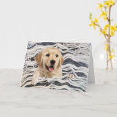 Golden Retriever in Frayed Denim Kaart (Gele Bloem)
