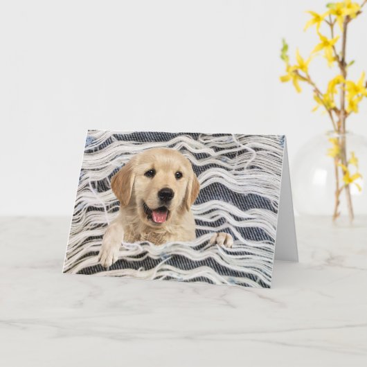 Golden Retriever in Frayed Denim Kaart (Gele Bloem)