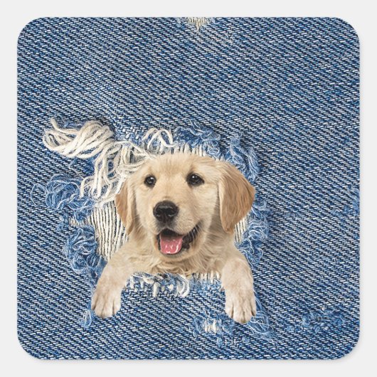 Golden Retriever in gerafelde denim stof gat Vierkante Sticker (Voorkant)