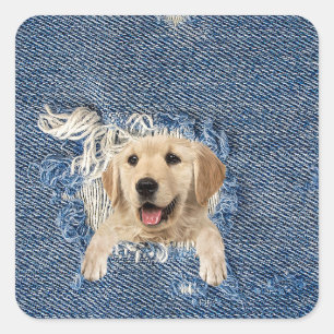 Golden Retriever in gerafelde denim stof gat Vierkante Sticker