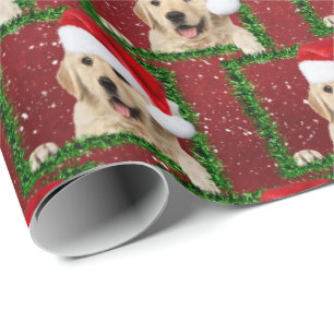 Golden Retriever in groen lijst Cadeaupapier