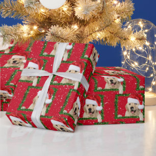 Golden Retriever in groenboek over het ompakken va Cadeaupapier