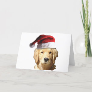 Golden retriever in het Pet van de Kerstman Feestdagen Kaart
