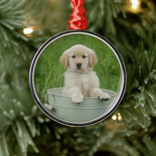 Golden retriever in het wasbekken metalen ornament (Boom)