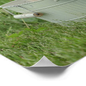 Golden retriever in het wasbekken poster (Hoek)