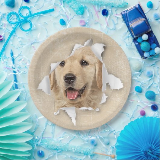 Golden Retriever in papieren hol Papieren Bordje (Feest)