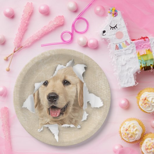 Golden Retriever in papieren hol Papieren Bordje (Feest)