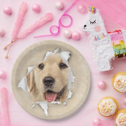 Golden Retriever in papieren hol Papieren Bordje (Feest)