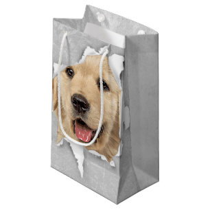 Golden Retriever in papiergat Klein Cadeauzakje