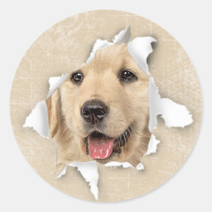 Golden Retriever in papiergat Ronde Sticker
