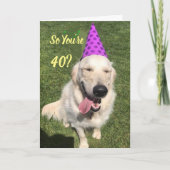 Golden Retriever in Party Pet 40e verjaardag Kaart (Voorkant)
