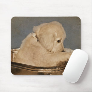 Golden Retriever in Retro Washtub Muismat