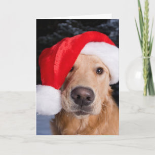 Golden Retriever in Santa Hat Feestdagen Kaart