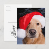 Golden Retriever in Santa Hat Feestdagenkaart (Voorkant / Achterkant)