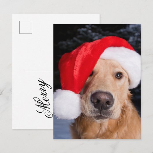 Golden Retriever in Santa Hat Feestdagenkaart (Voorkant / Achterkant)