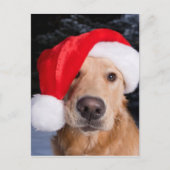 Golden Retriever in Santa Hat Feestdagenkaart (Voorkant)