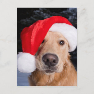 Golden Retriever in Santa Hat Feestdagenkaart