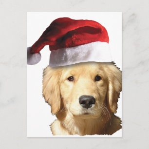 Golden Retriever in Santa Hat Feestdagenkaart