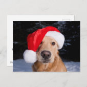 Golden Retriever in Santa Hat Feestdagenkaart (Voorkant / Achterkant)