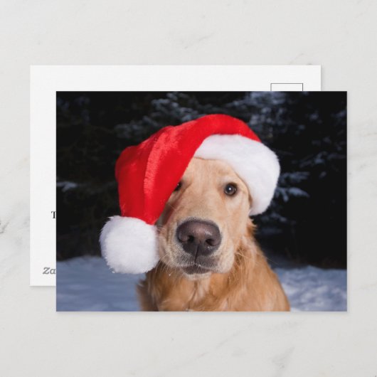 Golden Retriever in Santa Hat Feestdagenkaart (Voorkant / Achterkant)