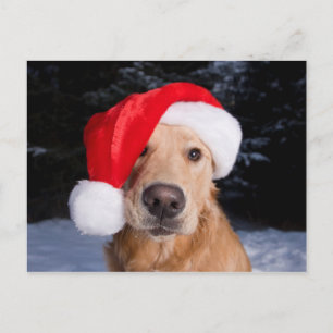 Golden Retriever in Santa Hat Feestdagenkaart