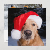 Golden Retriever in Santa Hat Feestdagenkaart (Voorkant / Achterkant)