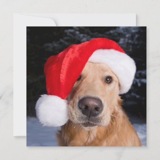 Golden Retriever in Santa Hat Feestdagenkaart (Voorkant)