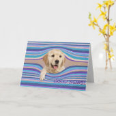 Golden Retriever in Stripes Birthday Humor Kaart (Gele Bloem)