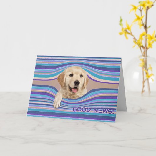 Golden Retriever in Stripes Birthday Humor Kaart (Gele Bloem)
