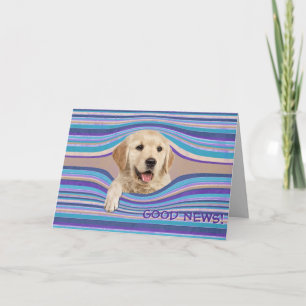 Golden Retriever in Stripes Birthday Humor Kaart