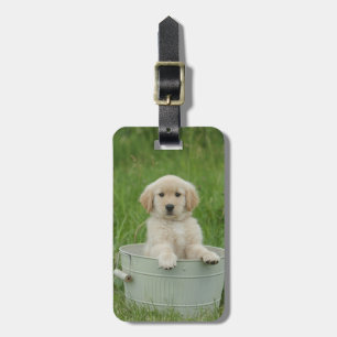 Golden retriever in wasbekken bagagelabel