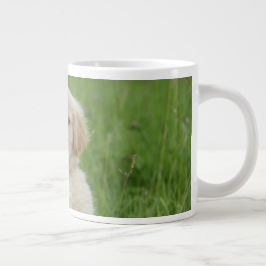 Golden retriever in wasbekken grote koffiekop (Rechts)