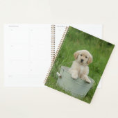 Golden retriever in wasbekken planner (Display)