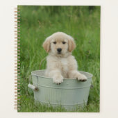 Golden retriever in wasbekken planner (Voorkant)