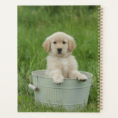 Golden retriever in wasbekken planner (Achterkant)