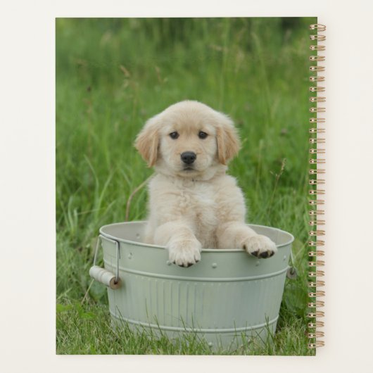 Golden retriever in wasbekken planner (Achterkant)