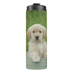 Golden retriever in wasbekken thermosbeker