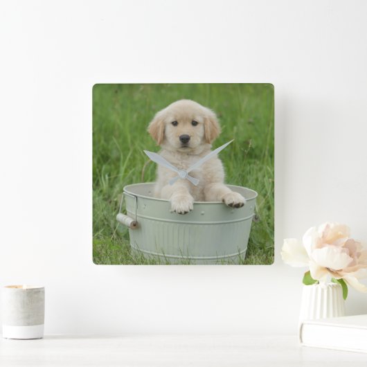 Golden retriever in wasbekken vierkante klok (Huis)