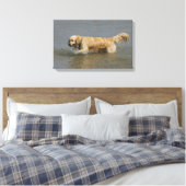 Golden Retriever in water Canvas Afdruk (Insitu (Slaapkamer))